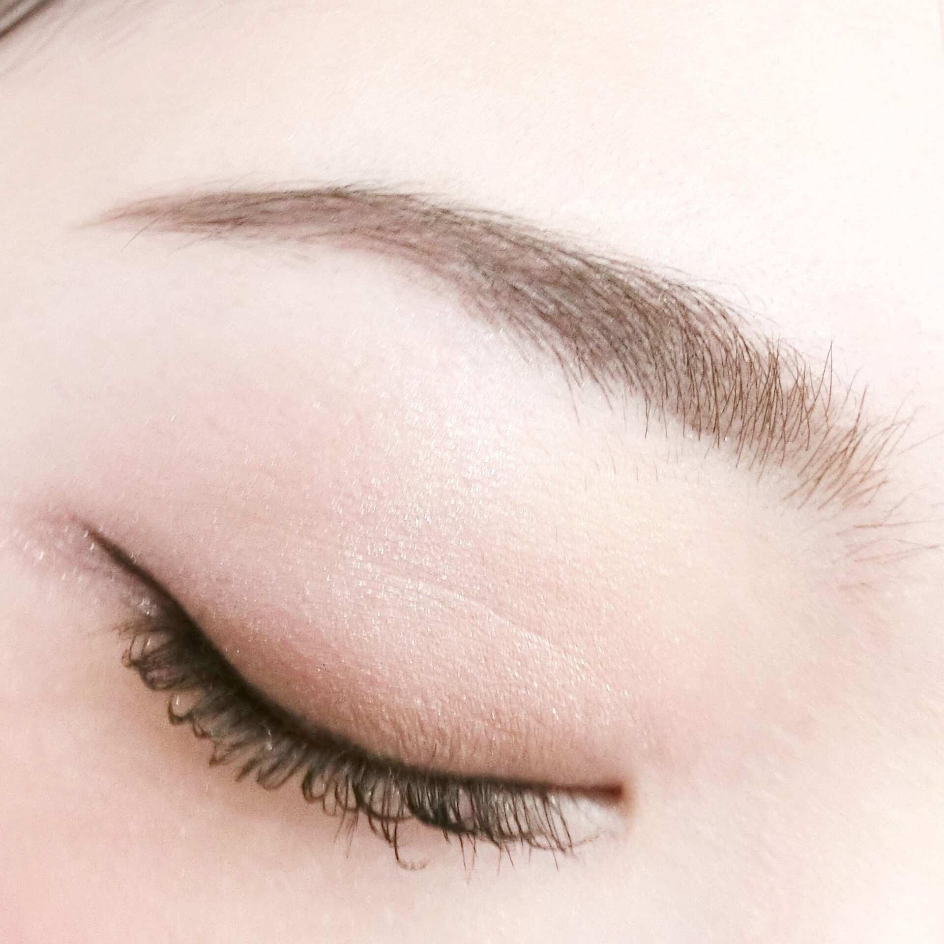 プチプラで揃える 綺麗な眉毛を作るアイテム Beautybrush 常岡珠希ブログ