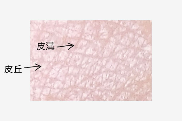 キメの細かい肌に 冬のキメ乱れはどう対策する Beautybrush 常岡珠希ブログ